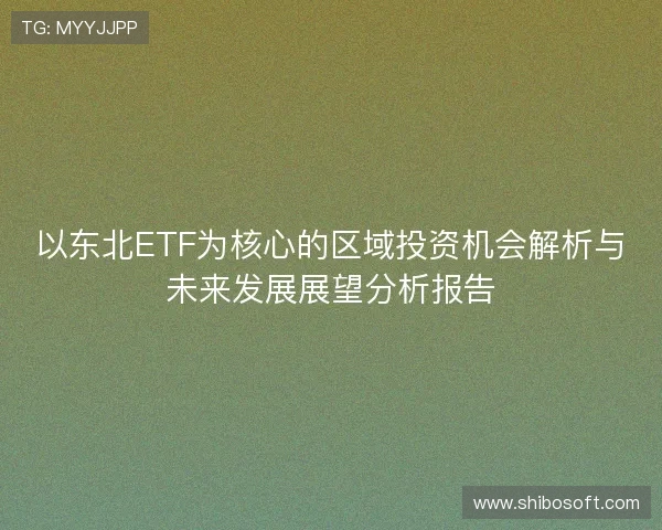 以东北ETF为核心的区域投资机会解析与未来发展展望分析报告 以东北ETF为核心的区域投资机会解析与未来发展展望分析报告