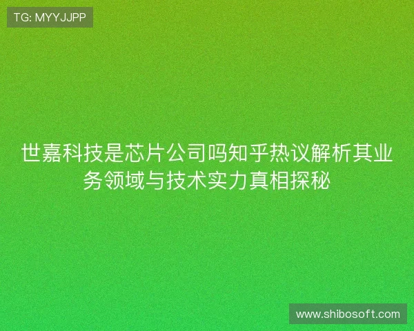 世嘉科技是芯片公司吗知乎热议解析其业务领域与技术实力真相探秘